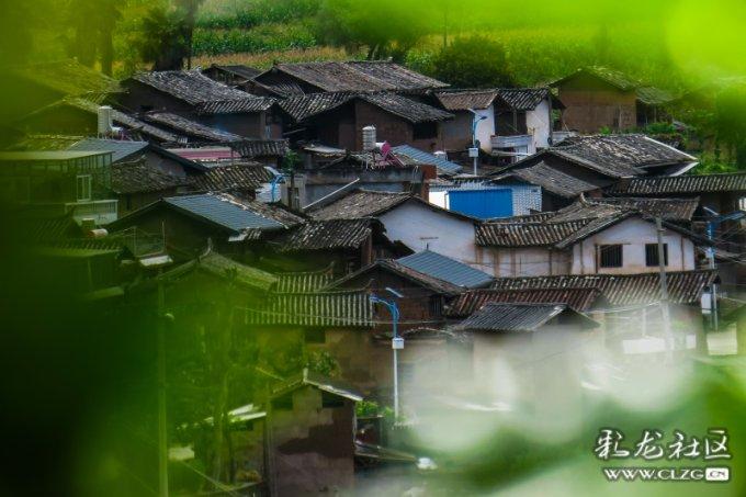 新版闽政通APP上线 推出智能客服小二“福晓宝”