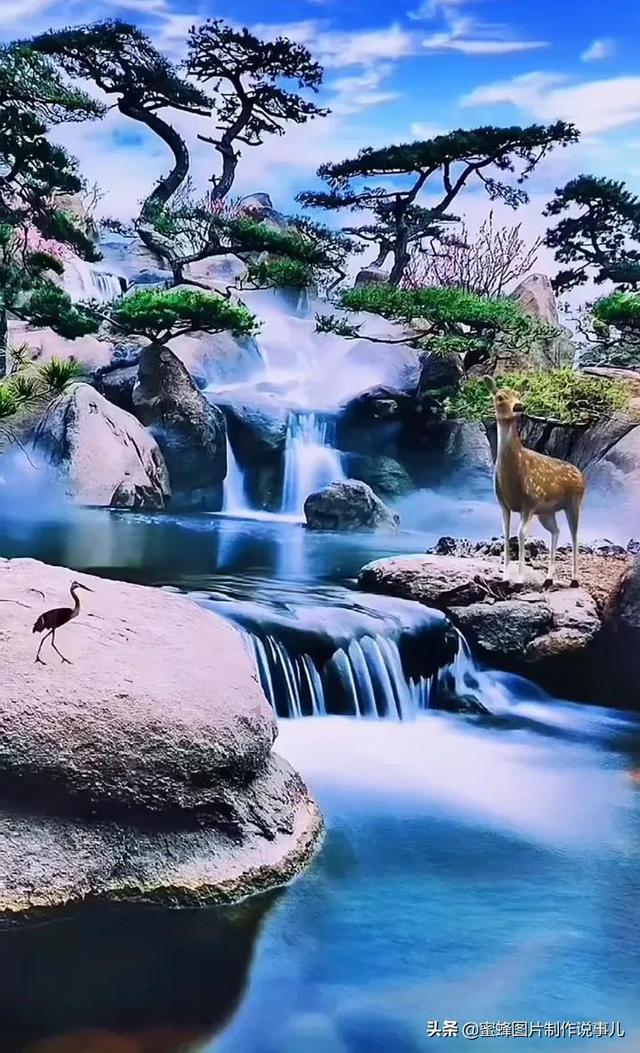 破碎的动物图形2